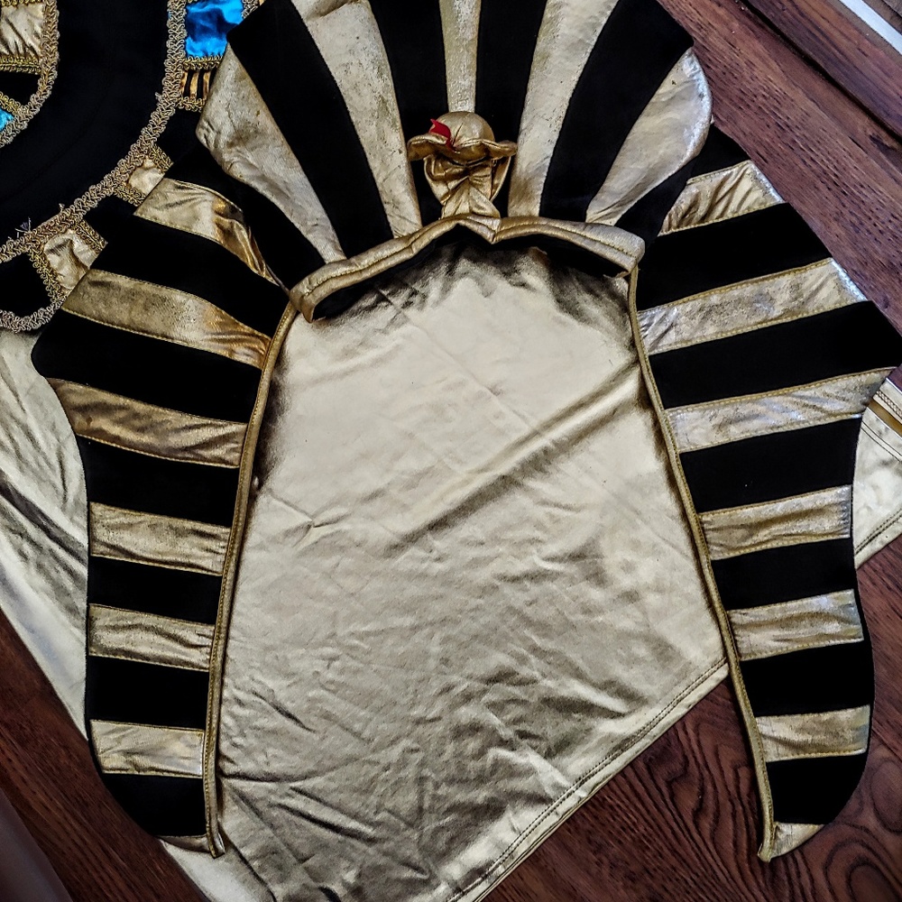 "Egyptian Goddess Costume!"